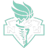 nyl icon