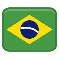 bra icon