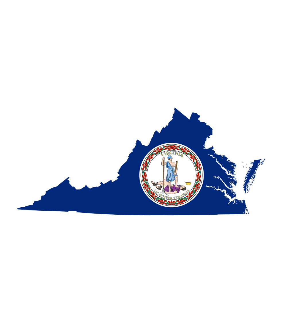 icon for Virginia Senate Election Winner