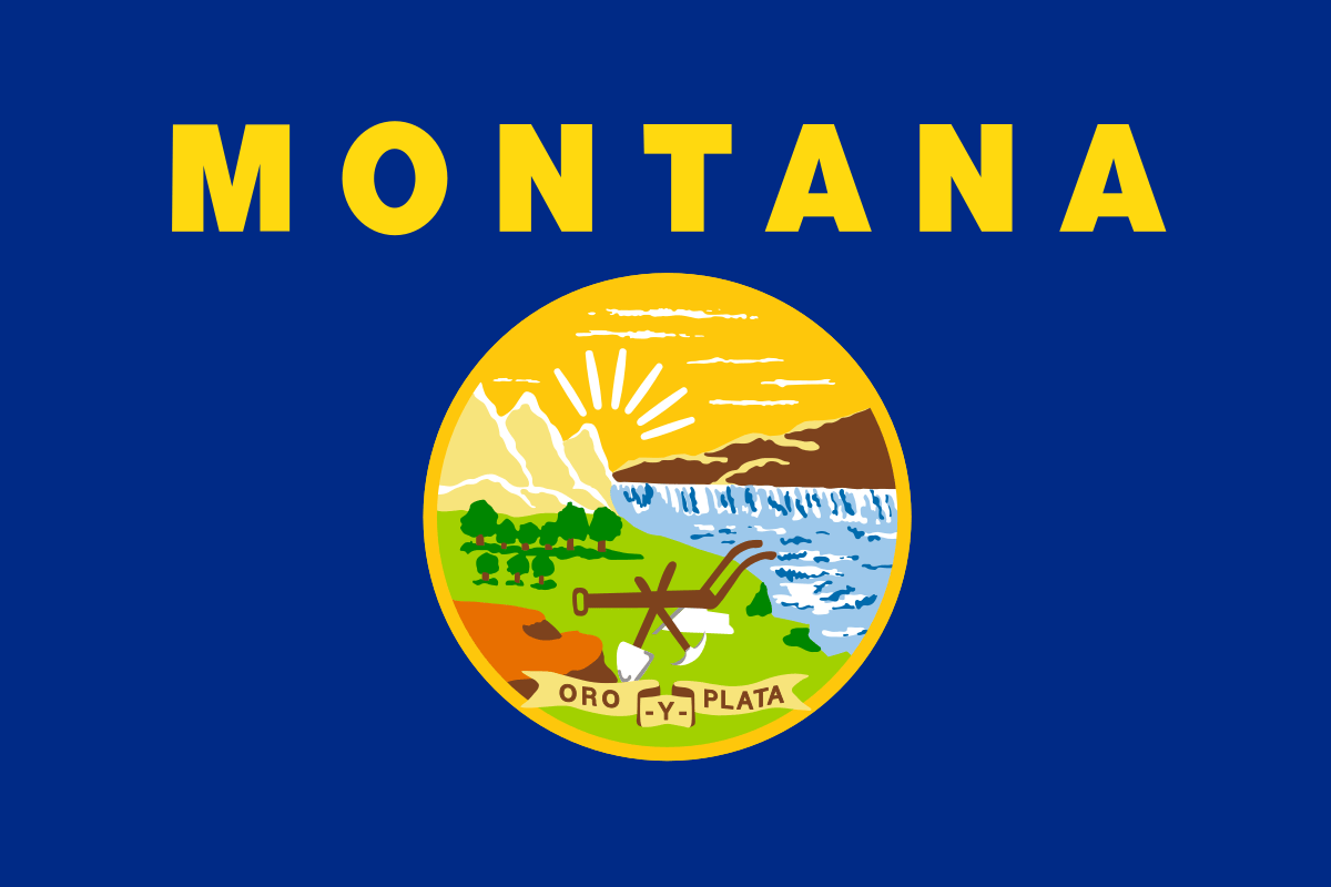 icon for MT-01 House Election Winner