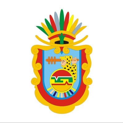 icon for Guerrero Governor Election Winner