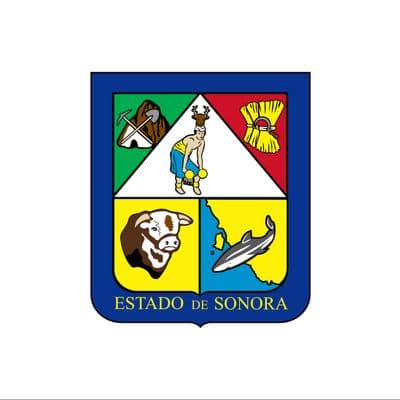 icon for Sonora Governor Election Winner