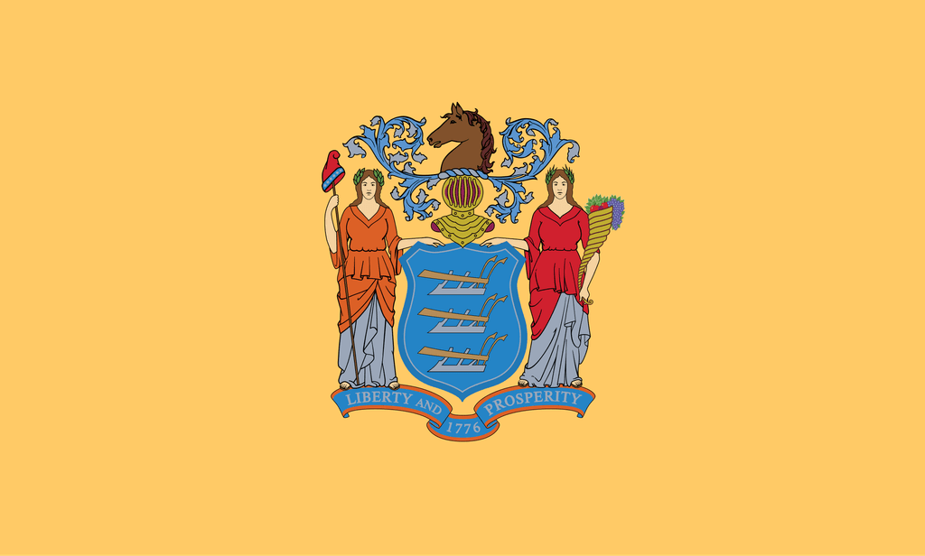 icon for NJ-09 House Election Winner