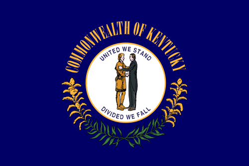 KY-01 House Election Winner card icon