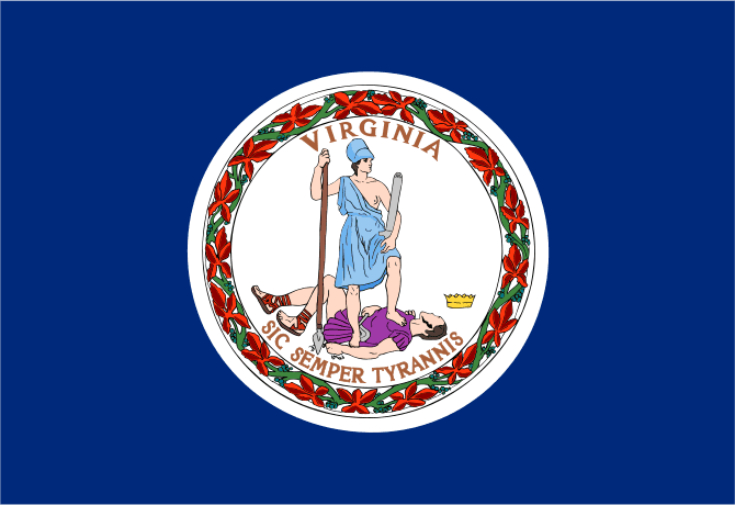 VA-11 House Election Winner
