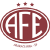 ara icon