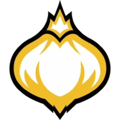Onion Team