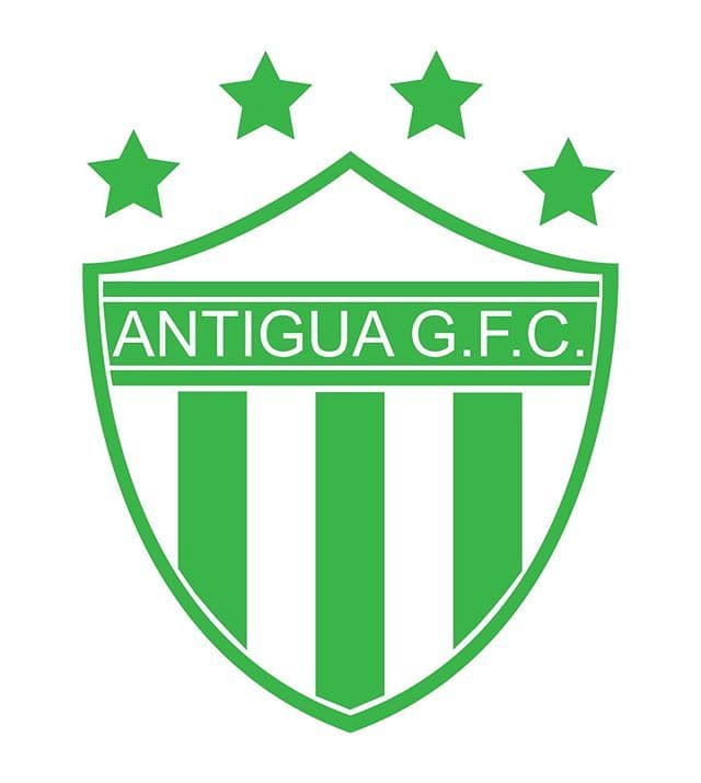 ant icon