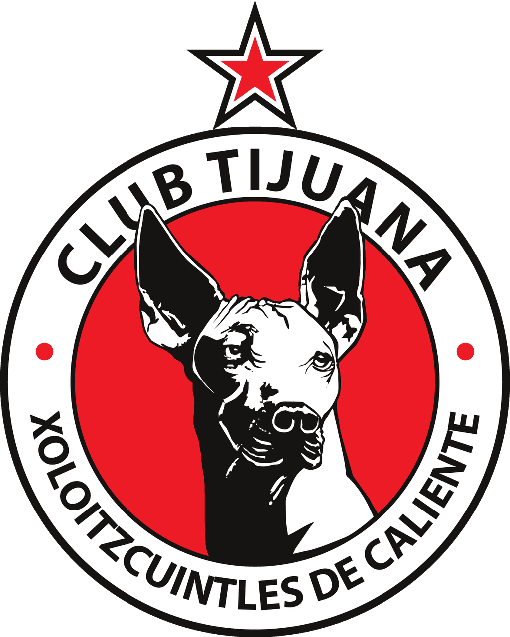 tij icon