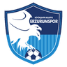 Erzurumspor FK