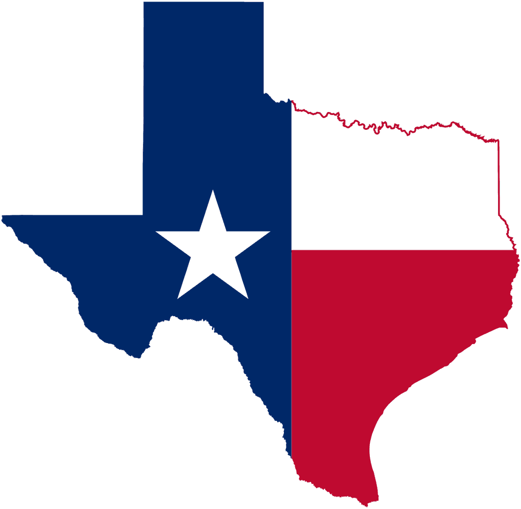icon for TX-15 House Election Winner