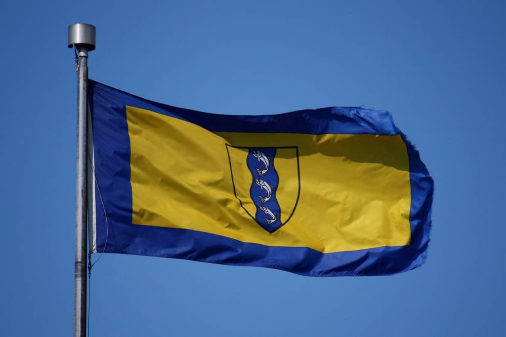 icon for Richmond Mayoral Election