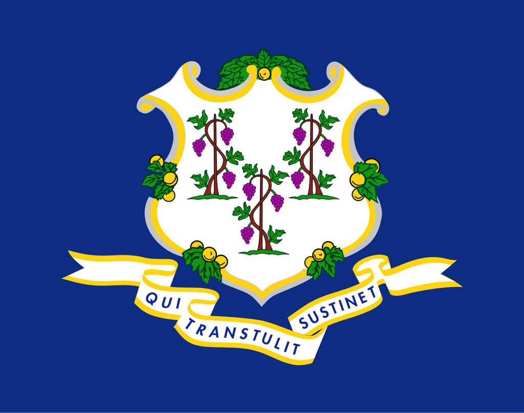icon for CT-01 Democratic Primary Winner