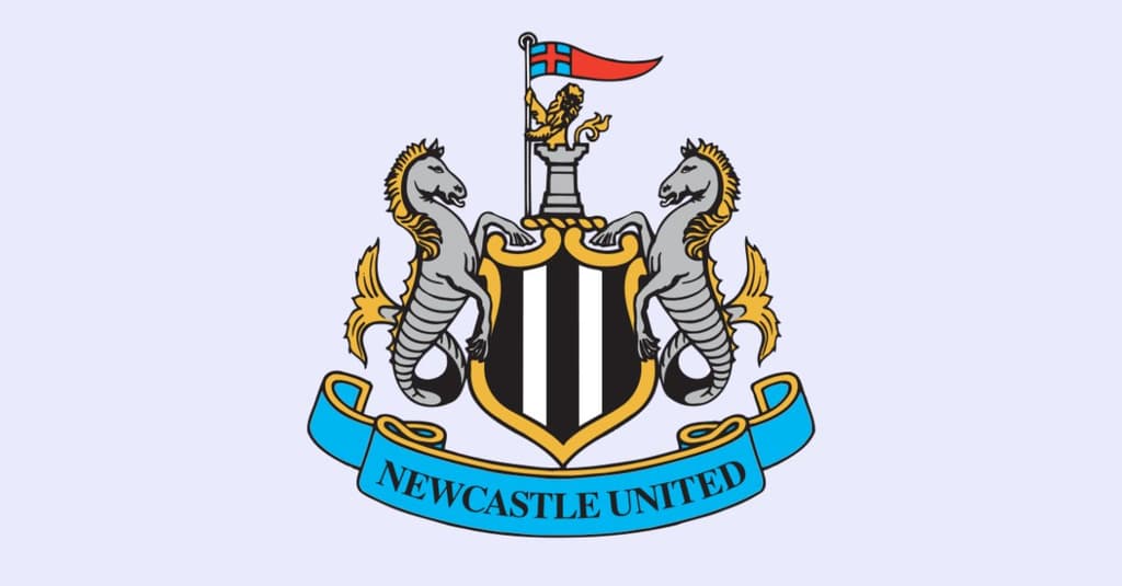icon for EPL: Next Newcastle United manager