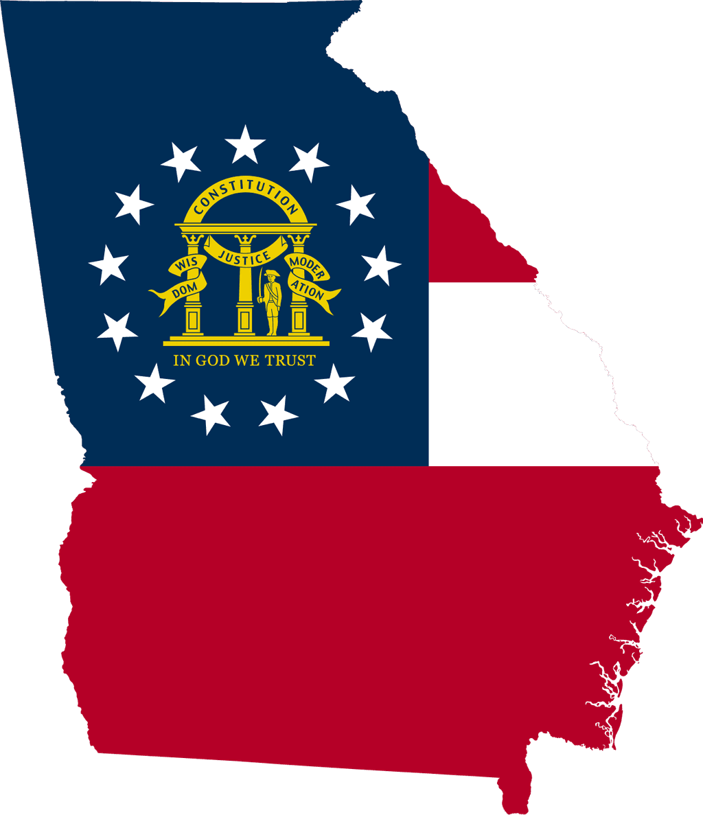 icon for Georgia Senate Election Winner