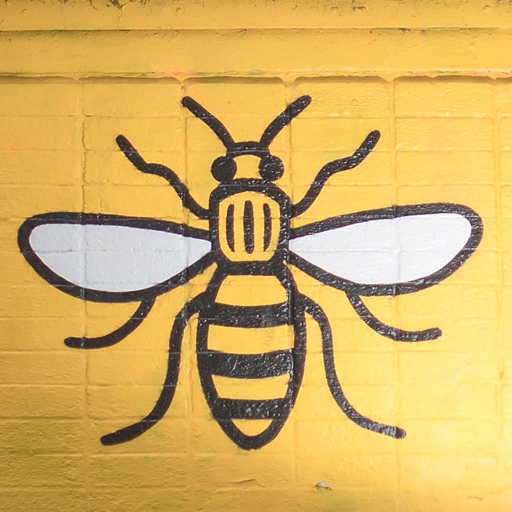 Greater Manchester Mayoral Election Winner - image
