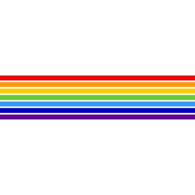 icon for Jewish Autonomous Oblast Parliament Election: Party Winner