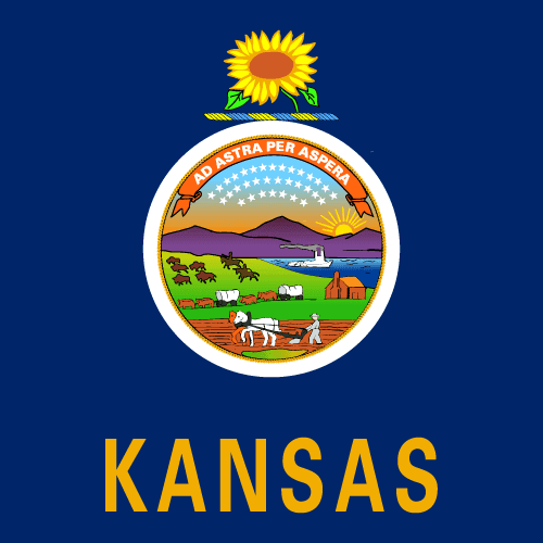 icon for Kansas Governor Democratic Primary Winner
