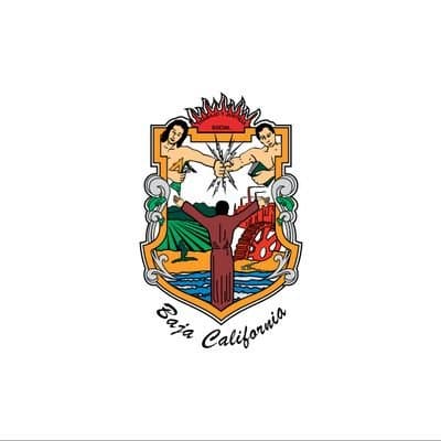 icon for Baja California Governor Election Winner
