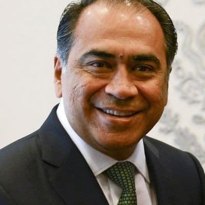 icon for Will Héctor Astudillo Flores win the 2027 Guerrero Governor Election?