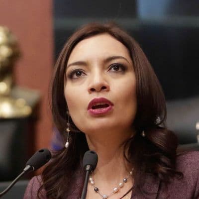 icon for Mely Romero Celis