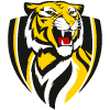 icon for Richmond Tigers vs. St Kilda Saints