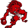 Leones de Ponce