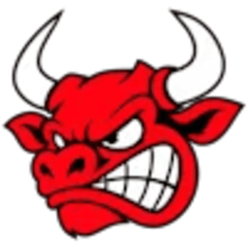 wbt icon