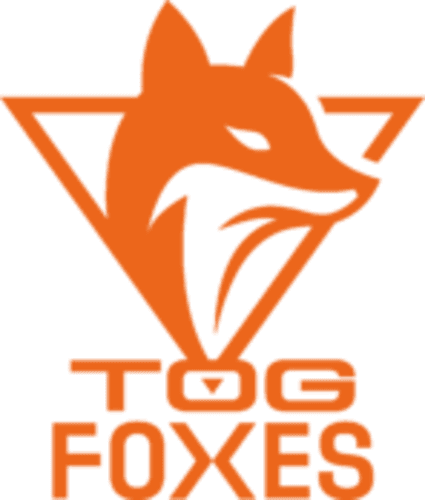 tog icon