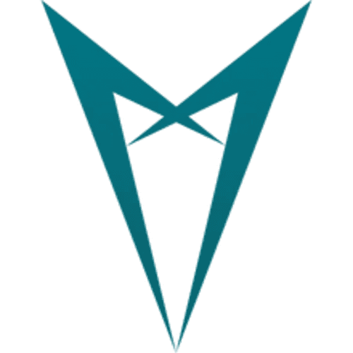 p11 icon