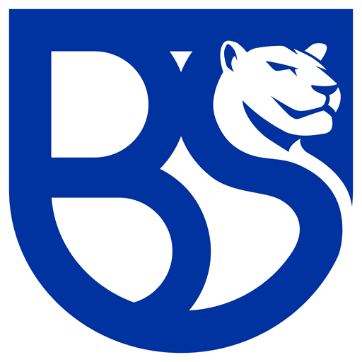Union Brescia