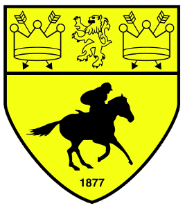 Newmarket Town FC