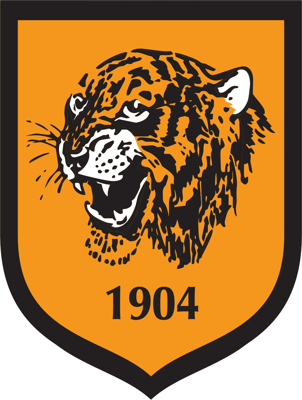 Hull City AFC