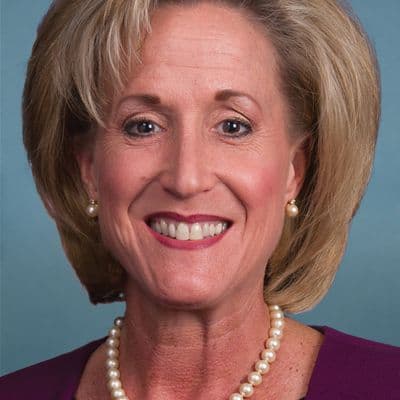 icon for Will Ann Wagner be the MO-02 Republican nominee?