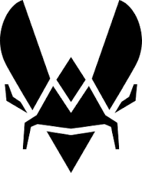 icon for Will Team Vitality Make a Roster Change before September?