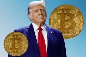 icon for Will Trump launch a coin by December 31?