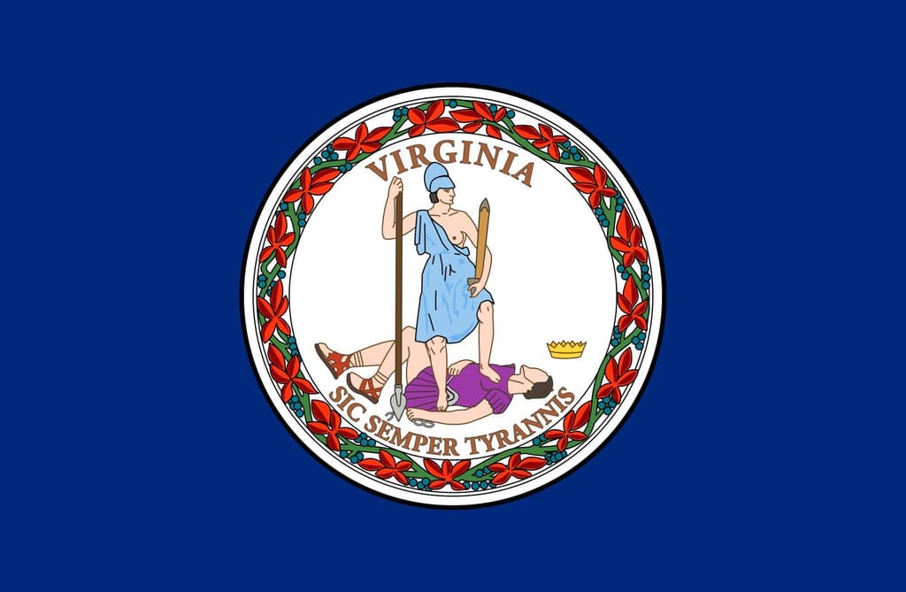 icon for New Virginia congressional map used in the midterms?