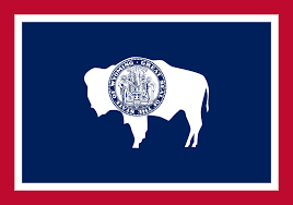 icon for Wyoming Governor Republican Primary Winner